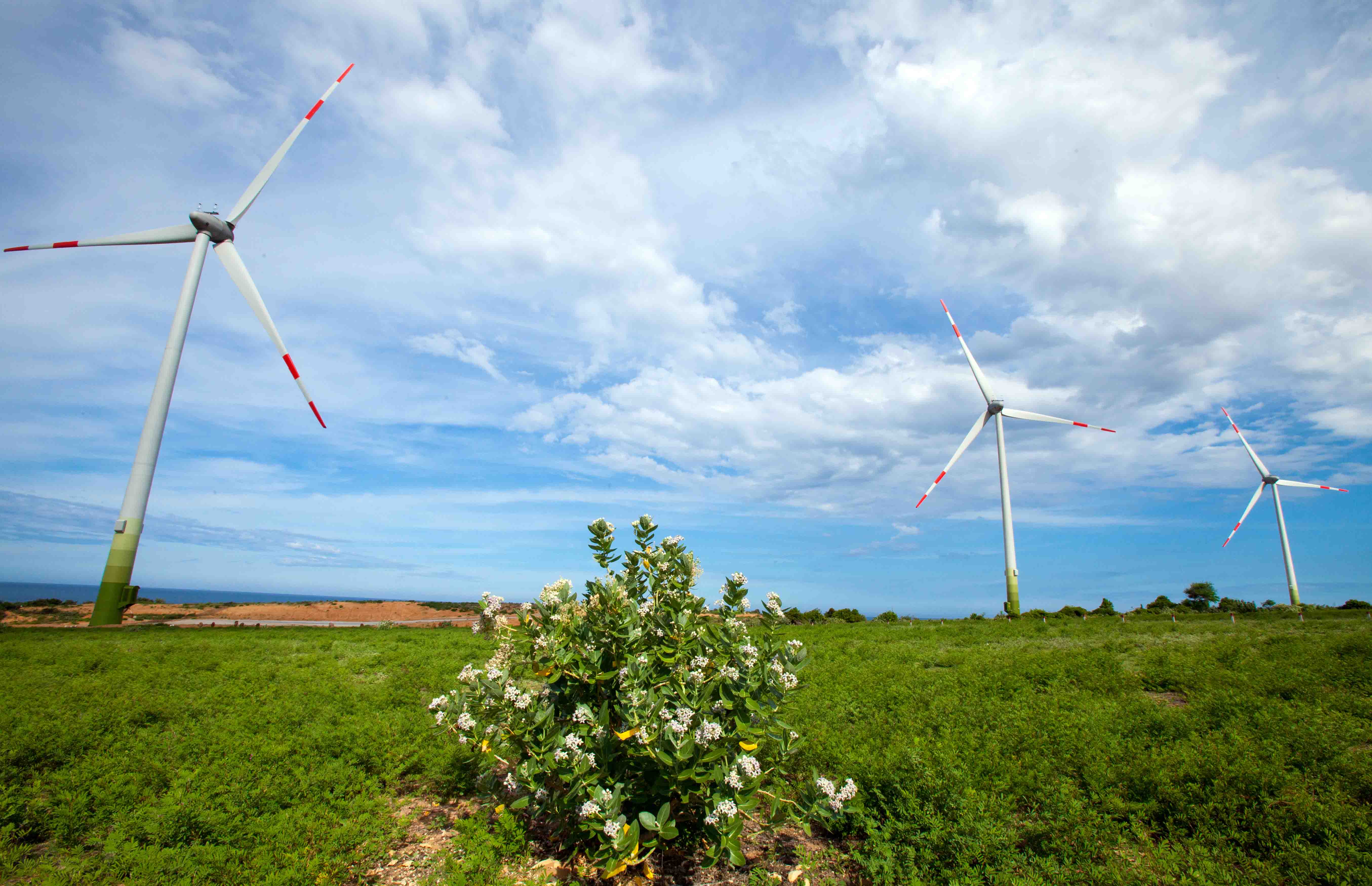 Những trụ điện gió như những cối xay gió khổng lồ đứng hiên ngang vươn mình đón gió là ấn tượng không thể quên với mỗi du khách khi đến vùng đất Ninh Thuận.