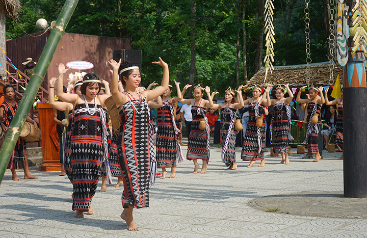 Đà Nẵng: Lần đầu tổ chức lễ hội Tết Việt, văn hóa con người huyện Hòa Vang- Ảnh 2.