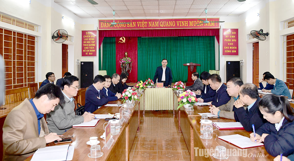 Tuyên Quang: Phó Chủ tịch UBND tỉnh kiểm tra tiến độ thực hiện công tác bồi thường, giải phóng mặt bằng Dự án cao tốc Tuyên Quang-Hà Giang- Ảnh 3.