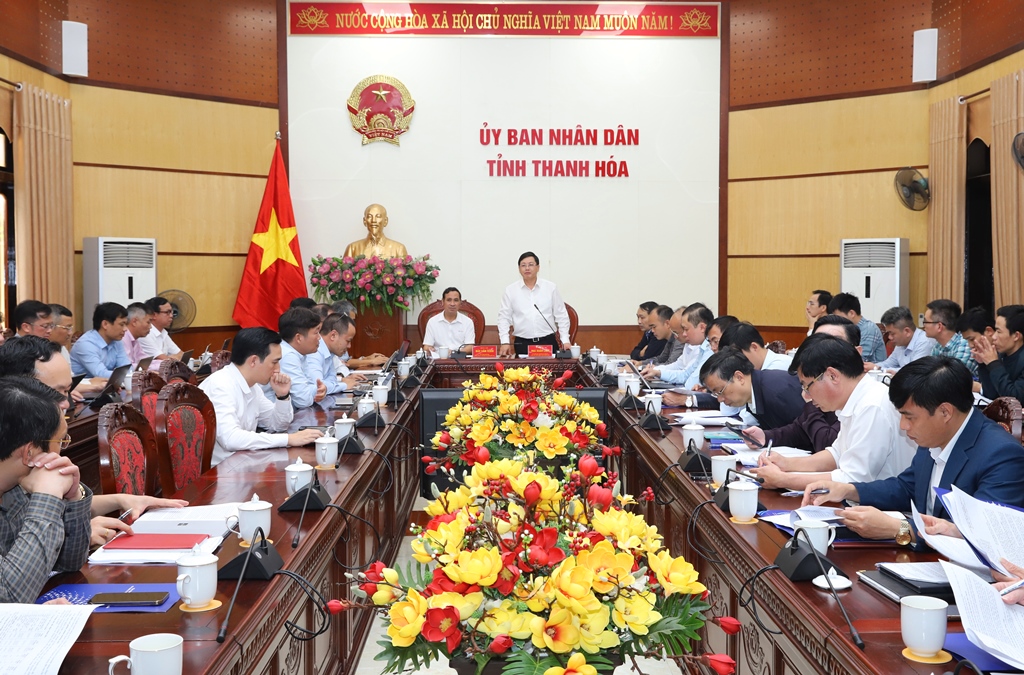 Tổng Công ty truyền tải điện Quốc gia làm việc với UBND tỉnh Thanh Hoá- Ảnh 4.