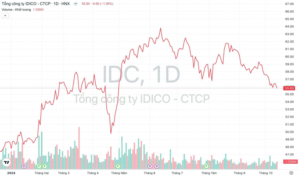 Tổng Công ty IDICO (IDC): Dự kiến tăng mạnh doanh thu từ mảng khu công nghiệp- Ảnh 1.