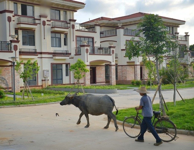 Vị đại gia nhận về nỗi buồn lớn sau khi chi 700 tỷ xây hơn 300 biệt thự ‘báo ơn’ cho người dân quê hương- Ảnh 4.