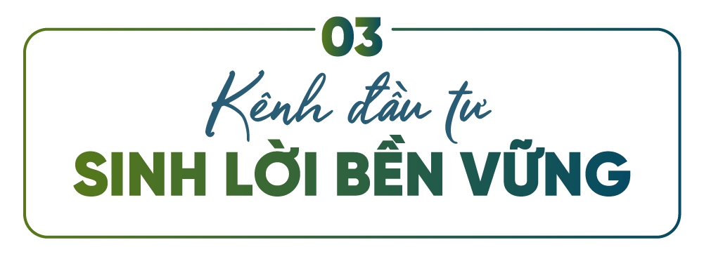 'Sóng' chung cư: Tâm điểm thị trường bất động sản 2024- Ảnh 11.