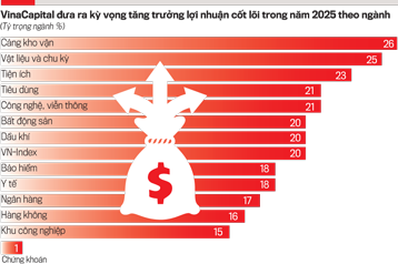 Kinh tế Việt Nam: Nền tảng 2024 và kỳ vọng tăng trưởng 2025- Ảnh 3.