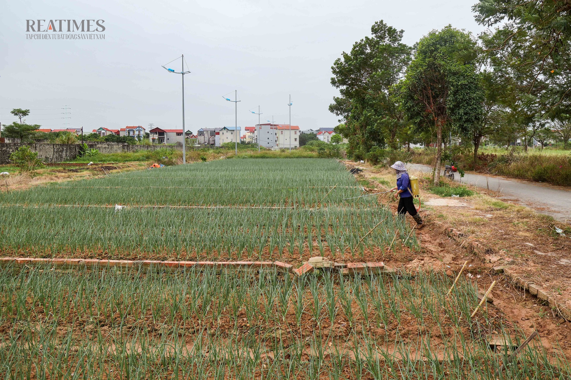 Hơn 2 thập kỷ sau mở rộng Thủ đô, loạt dự án đón đầu quy hoạch vẫn bỏ hoang- Ảnh 17.