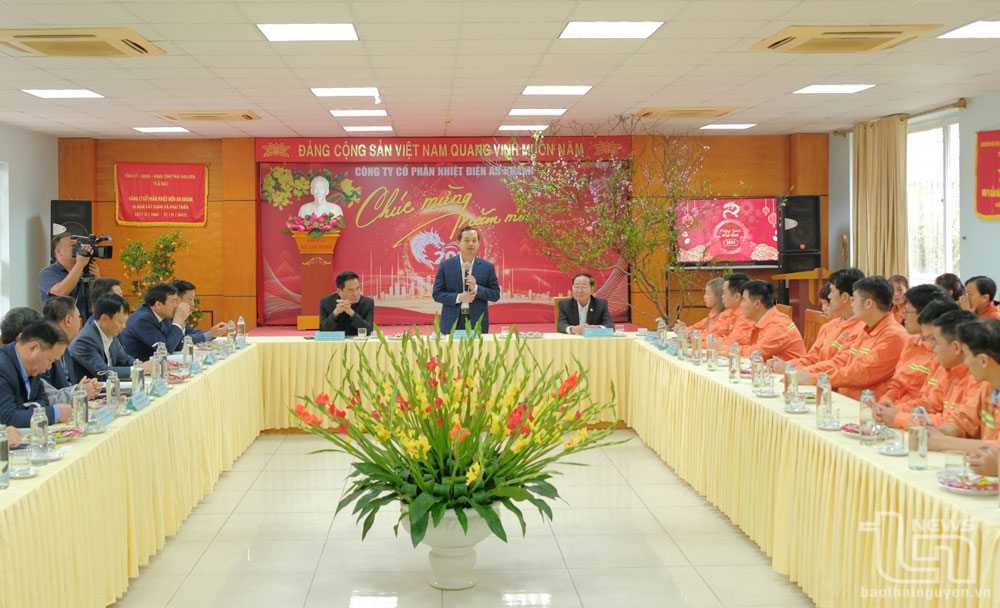 Lãnh đạo tỉnh Thái Nguyên thăm, động viên doanh nghiệp dịp đầu Xuân- Ảnh 14.