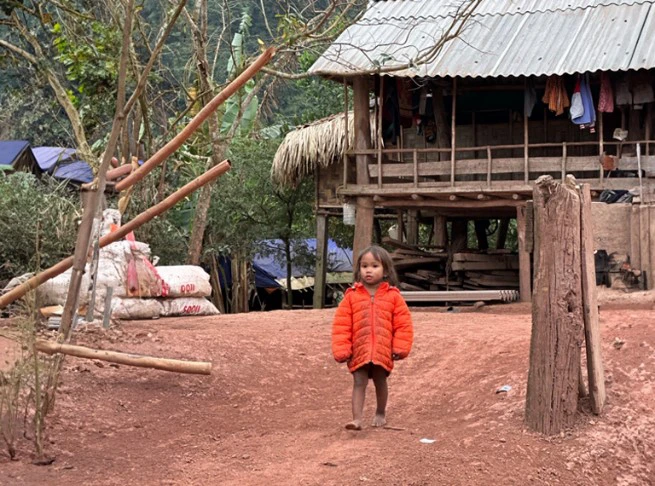 Tết An Bình 2024: ABBANK gây quỹ tài trợ 50.000 cây gỗ lớn cho người dân Quảng Bình- Ảnh 23.