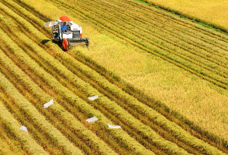 Năm 2025: Người dân có đất nông nghiệp thuộc diện thu hồi sẽ được bồi thường ra sao?- Ảnh 1.
