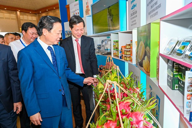 Năng lượng tái tạo là đột phá ưu tiên, quan trọng của Bình Thuận- Ảnh 4.