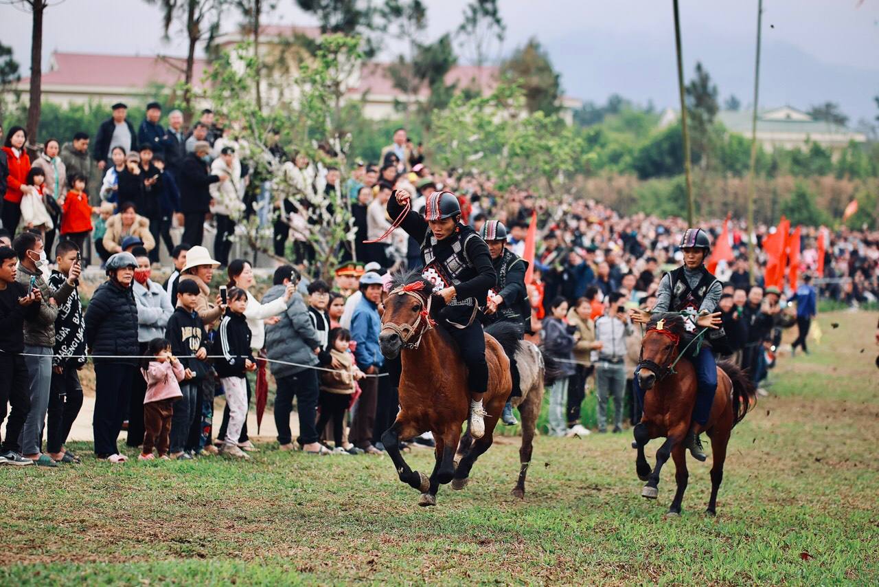 Sôi động Giải Đua Ngựa Shanrila Mường Lò đầu tiên tại Nghĩa Lộ, Yên Bái- Ảnh 2.