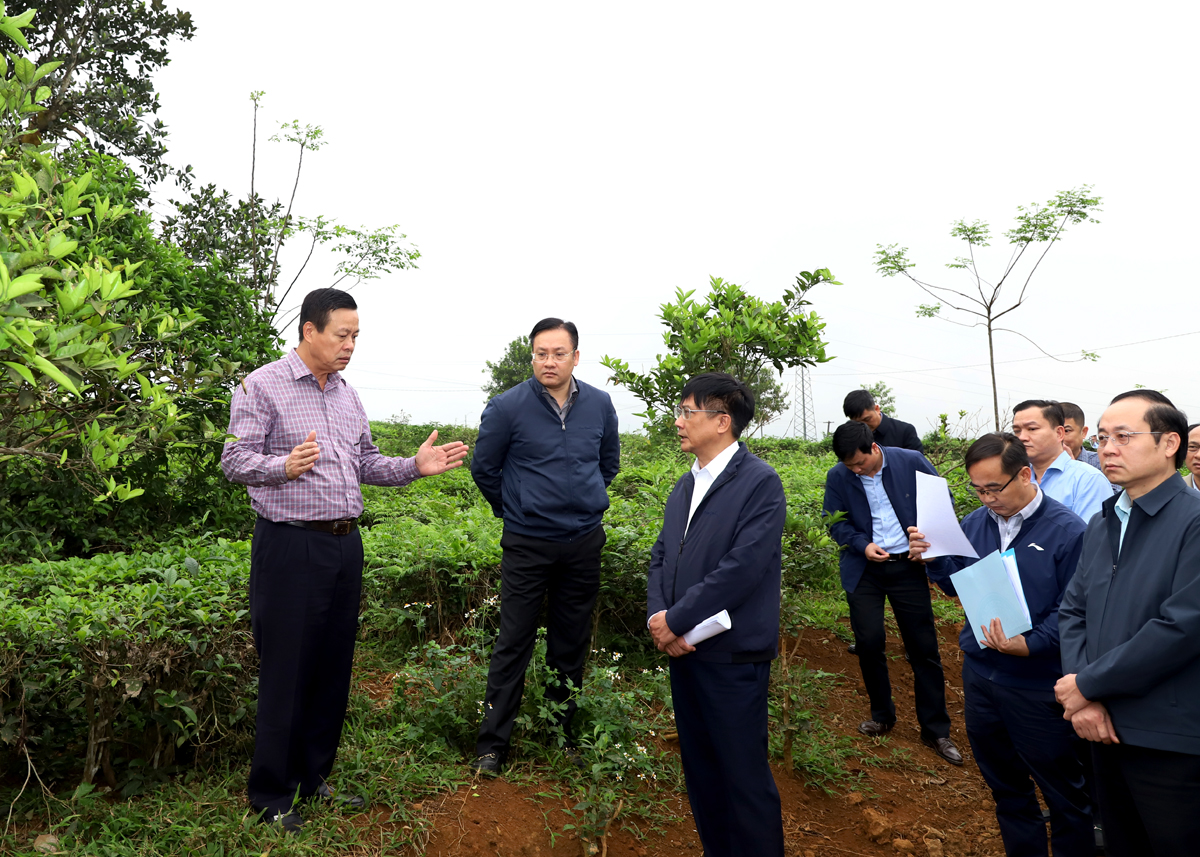 Chủ tịch tỉnh Hà Giang kiểm tra tiến độ Dự án Cao tốc Tuyên Quang – Hà Giang- Ảnh 7.