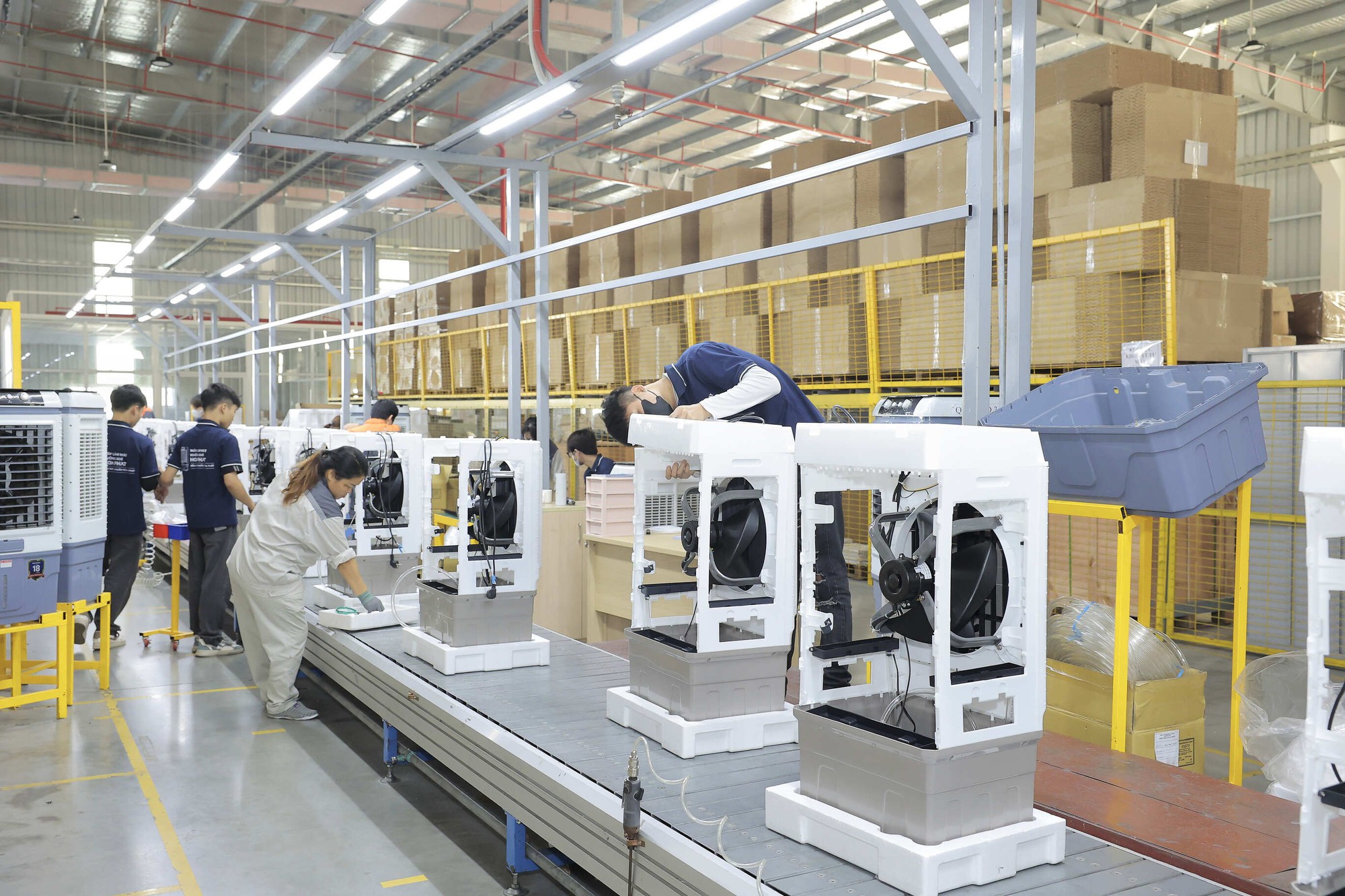 Điện máy Gia dụng Hoà Phát ra mắt bộ sưu tập quạt điện và máy làm mát không khí mới- Ảnh 2.