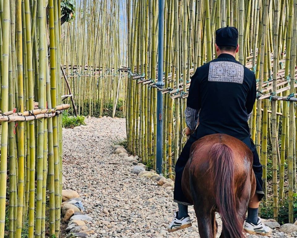 A person riding a horse through bamboo  Description automatically generated