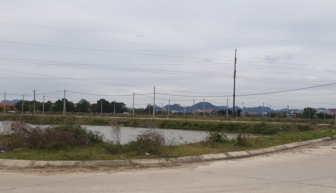 Ninh Bình đấu giá gần 400 lô đất vào tháng 4, khởi điểm 7,5 triệu đồng/m2- Ảnh 1.