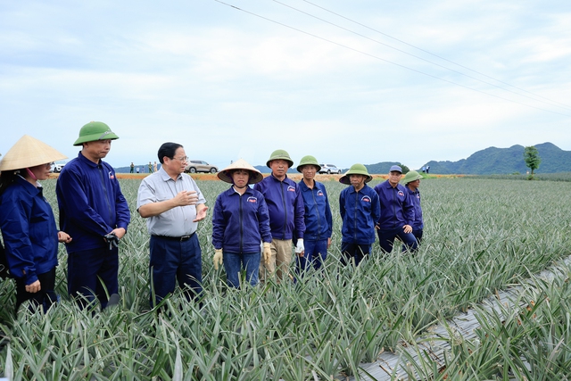 Thủ tướng Phạm Minh Chính khảo sát một số cơ sở, công trình trọng điểm tại Ninh Bình- Ảnh 1.