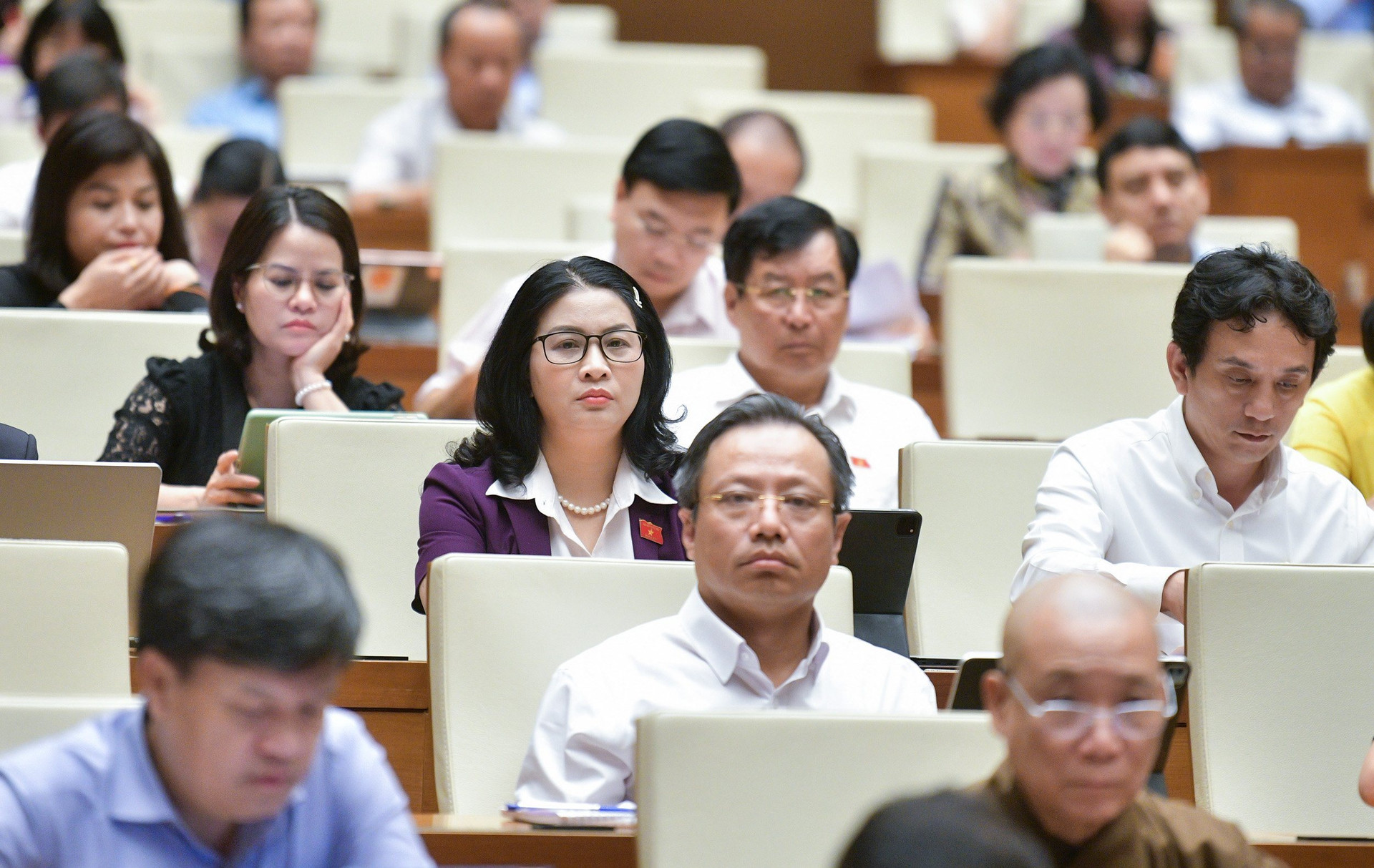 Tăng tỷ lệ đất cây xanh sử dụng công cộng và bảo tồn, phát huy giá trị văn hóa- Ảnh 2.