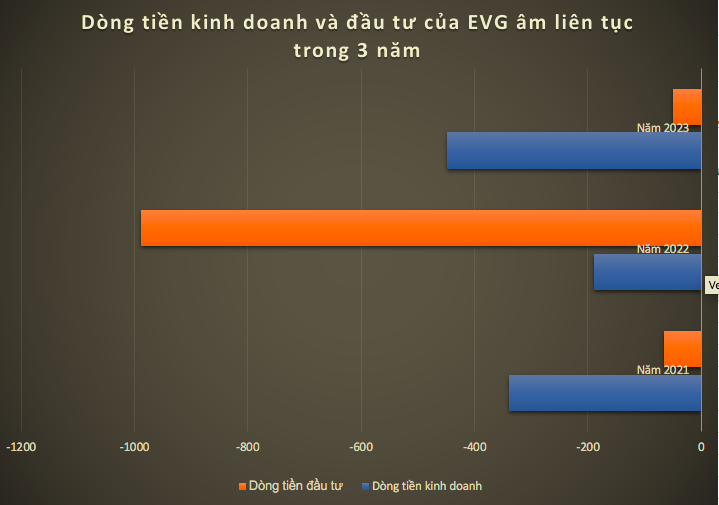 EverLand (EVG): Tham vọng lớn nhưng dòng tiền kinh doanh liên tục âm, cổ phiếu nằm trong diện bị kiểm soát- Ảnh 2.