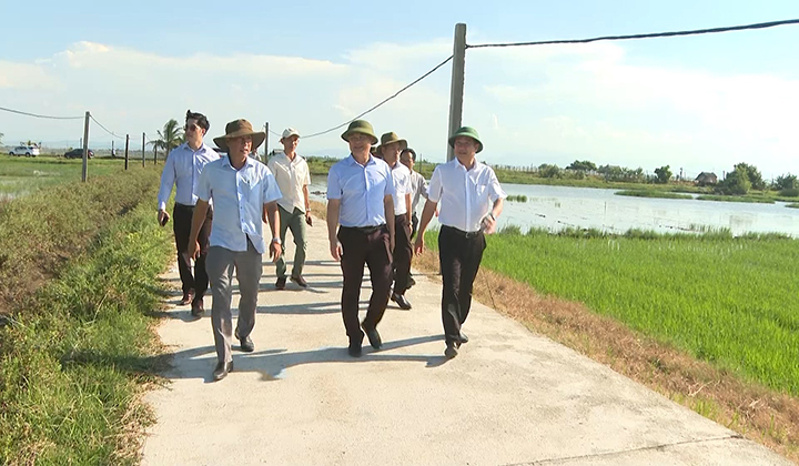 Thừa Thiên Huế: Khảo sát đầm phá tại Quảng Điền nhằm phát triển du lịch biển- Ảnh 1.