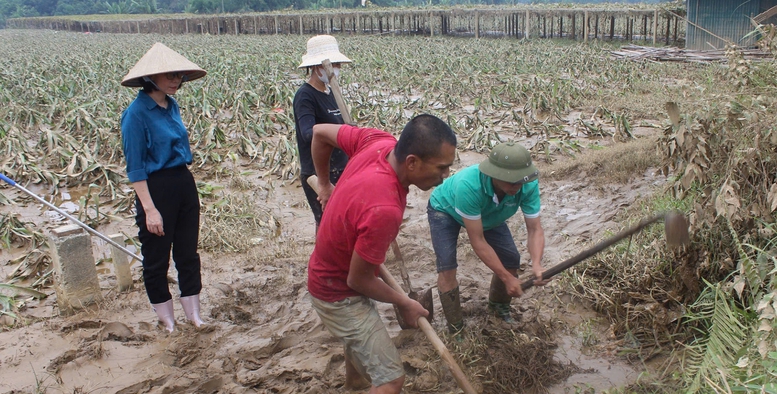 Chính phủ ban hành 6 nhóm nhiệm vụ, giải pháp trọng tâm khắc phục hậu quả bão số 3, đẩy mạnh khôi phục sản xuất kinh doanh- Ảnh 1.