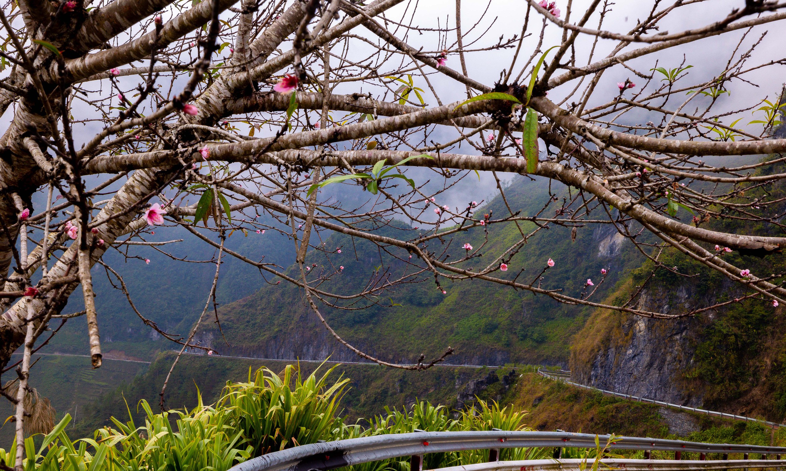 Photo Travel: Khúc giao mùa rực rỡ- Ảnh 1.