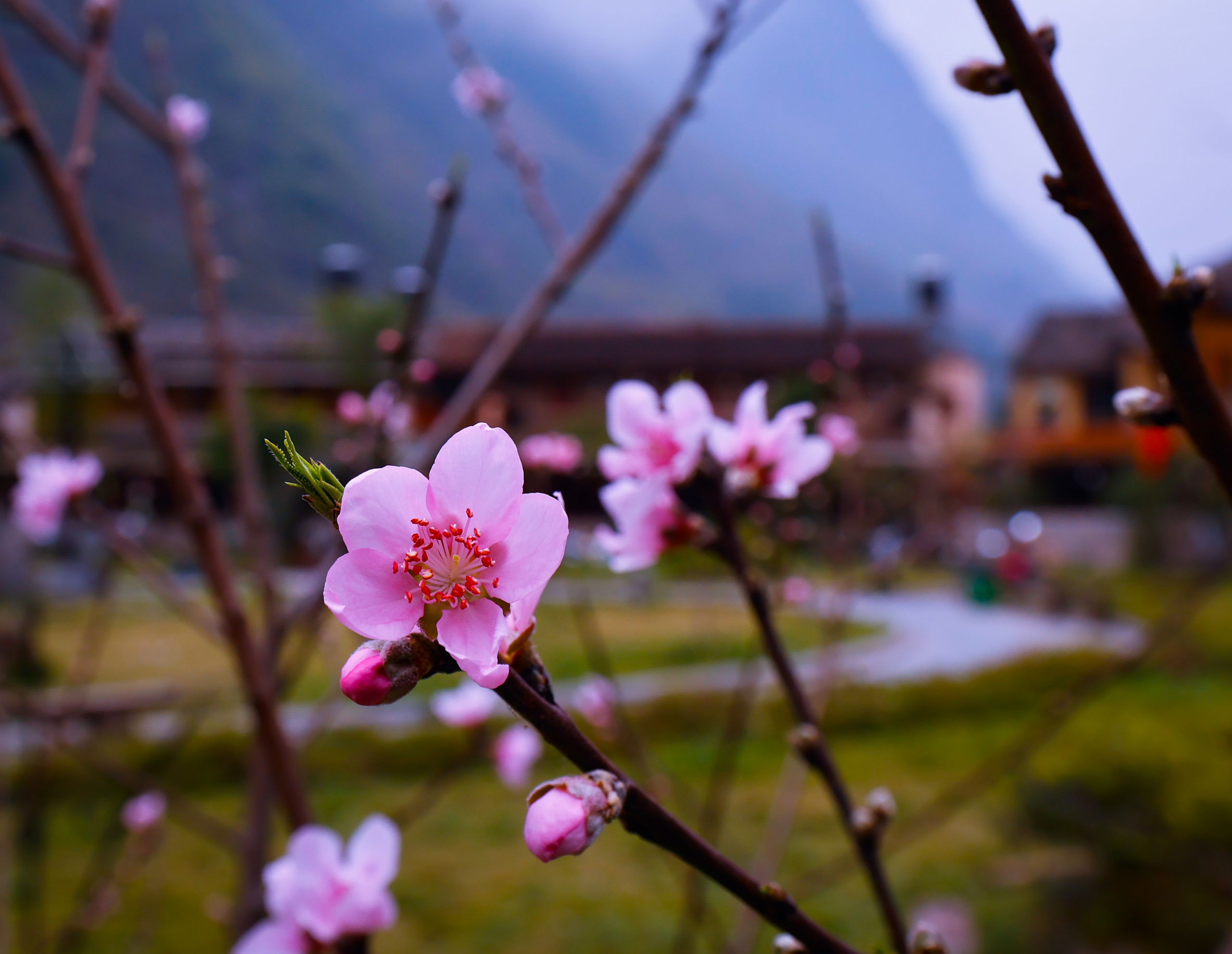 Photo Travel: Khúc giao mùa rực rỡ- Ảnh 2.