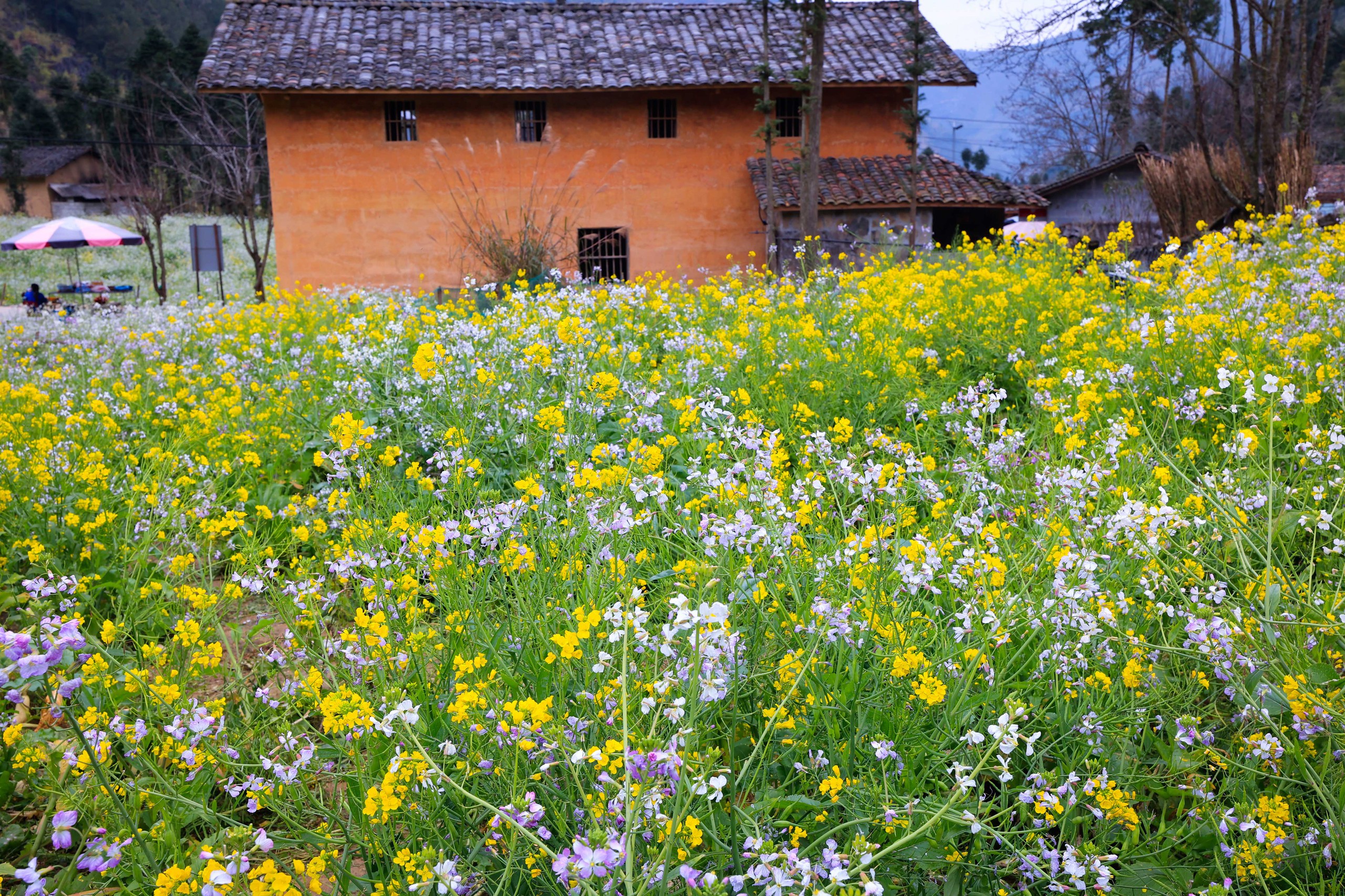 Photo Travel: Khúc giao mùa rực rỡ- Ảnh 9.