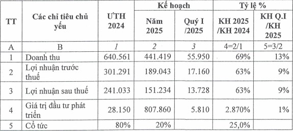 Kết quả kinh doanh ước tính năm 2024 của IDICO-CONAC (Nguồn: IDICO-CONAC)