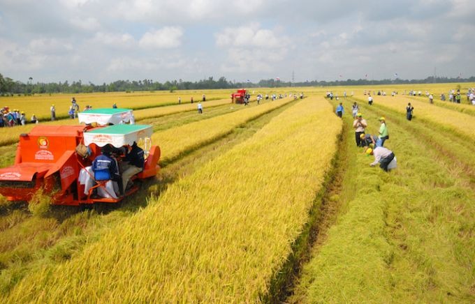 Từ bây giờ, giá đền bù đất trồng lúa khi bị thu hồi đất là bao nhiêu?- Ảnh 2. Từ bây giờ, giá đền bù đất trồng lúa khi bị thu hồi đất là bao nhiêu?- Ảnh 2.