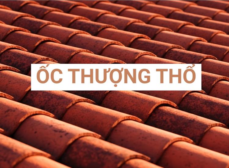 Mệnh Ốc Thượng Thổ là gì, hợp mệnh gì, màu nào, hướng nào theo phong thủy?- Ảnh 1.
