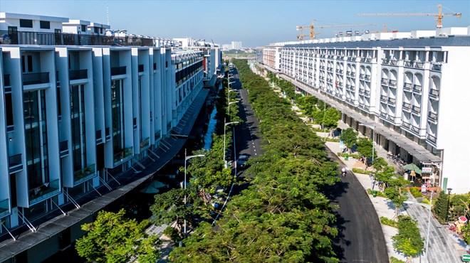 Giá nhà leo thang, tỷ suất sinh giảm mạnh: Áp lực kép của thế hệ trẻ- Ảnh 1.