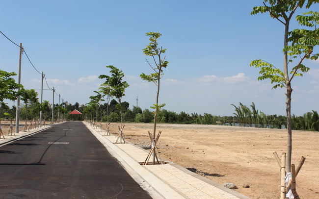 Thị trường bất động sản 2025 qua lời kể môi giới- Ảnh 1. Thị trường bất động sản 2025 qua lời kể môi giới- Ảnh 1.