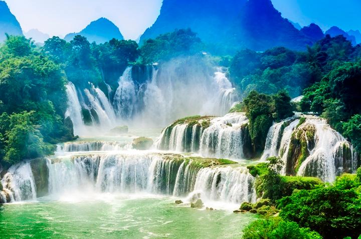 Tổng hợp các loại mệnh Mộc trong ngũ hành: Đặc điểm và ứng dụng phong thủy- Ảnh 4. Tổng hợp các loại mệnh Mộc trong ngũ hành: Đặc điểm và ứng dụng phong thủy- Ảnh 4.