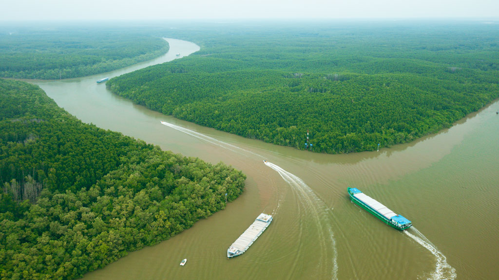 Vì sao Vinhomes Cần Giờ là đô thị sinh thái xanh giữa rừng ngập mặn?- Ảnh 1. Vì sao Vinhomes Cần Giờ là đô thị sinh thái xanh giữa rừng ngập mặn?- Ảnh 1.