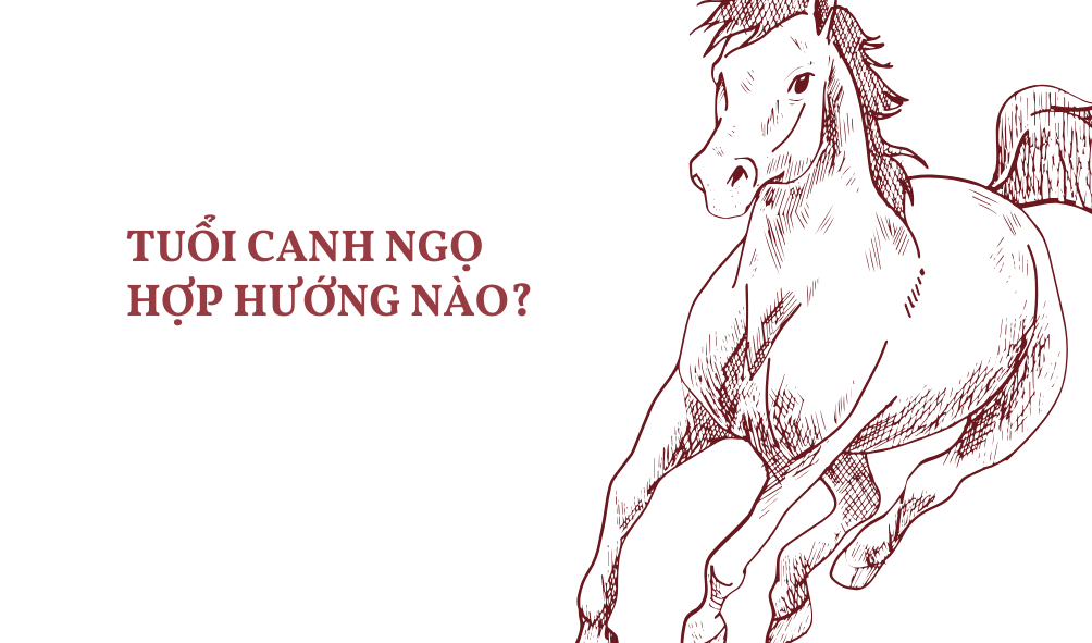 Tuổi Canh Ngọ hợp hướng nào? Hướng nhà nào may mắn, tài lộc?- Ảnh 1.