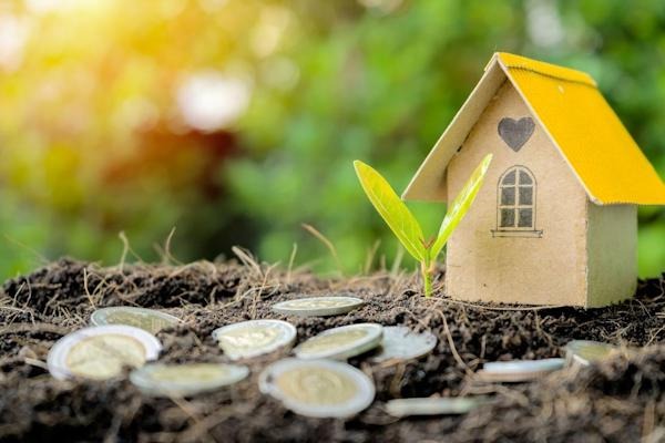 Từ nay, những trường hợp này sẽ không phải nộp tiền sử dụng đất khi làm sổ đỏ- Ảnh 1.