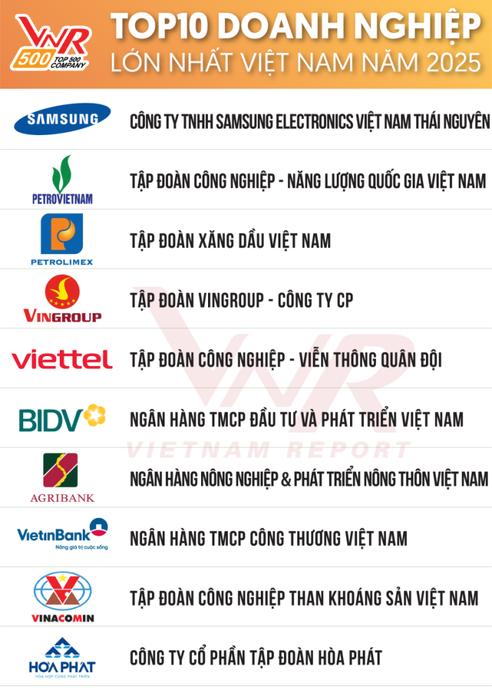 Tập đoàn Hòa Phát nằm trong top 10 doanh nghiệp lớn nhất Việt Nam- Ảnh 2.