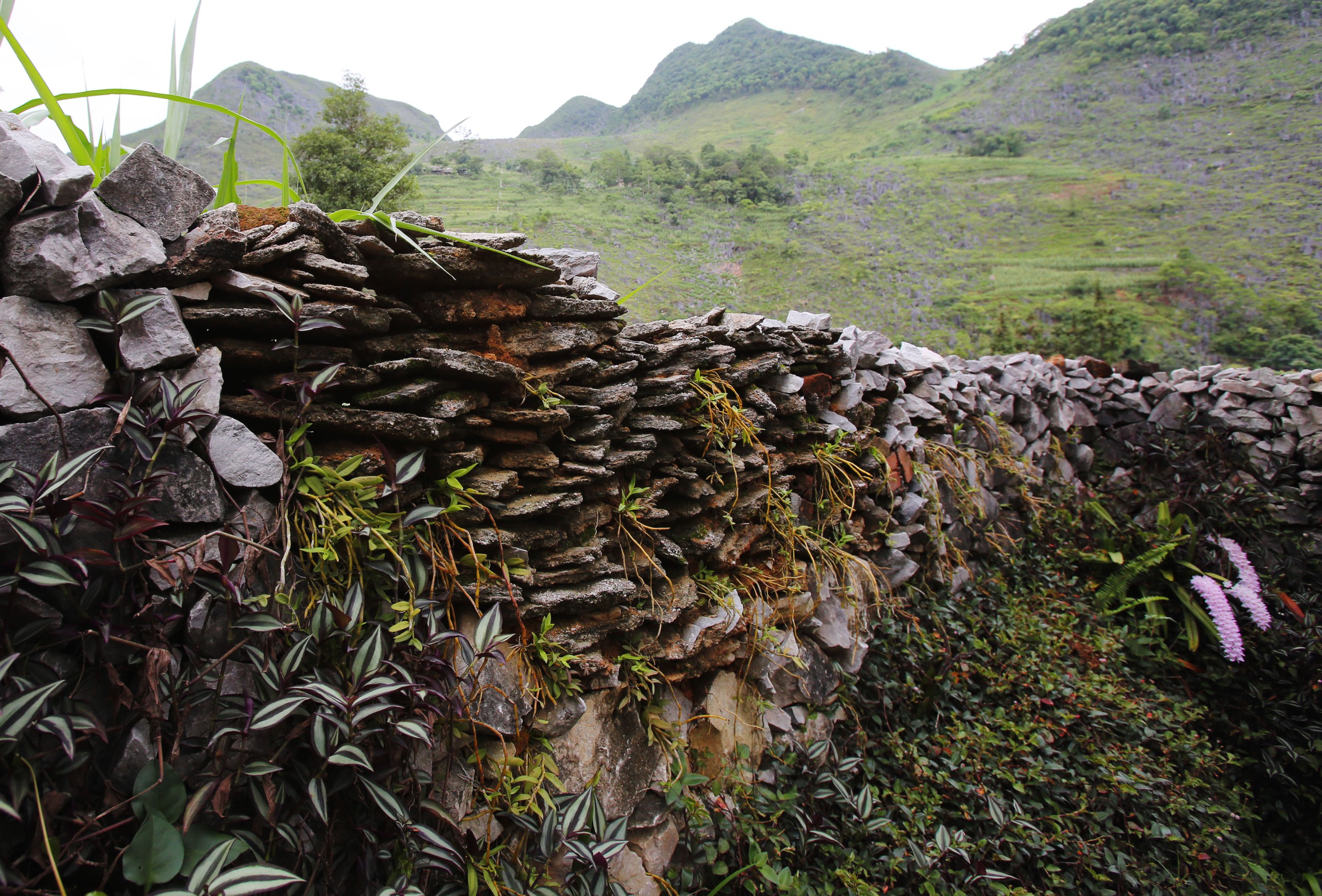 Photo Travel: Chúng Pủa, nhà cổ trăm năm trên cao nguyên đá- Ảnh 9. Photo Travel: Chúng Pủa, nhà cổ trăm năm trên cao nguyên đá- Ảnh 9.