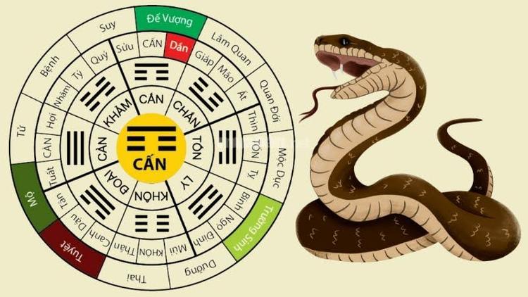 Sinh năm 2001 tuổi con gì? Hợp tuổi nào trong làm ăn và hôn nhân?- Ảnh 4.