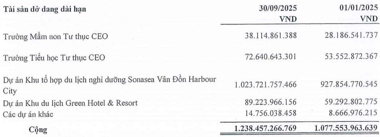 Doanh thu bất động sản chững lại, CEO Group vẫn tăng lãi nhờ tối ưu chi phí- Ảnh 2.