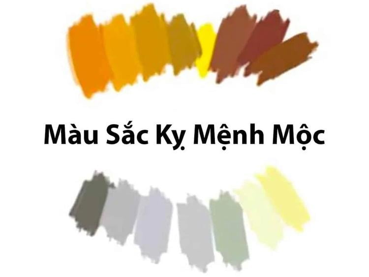 Mệnh Mộc hợp màu đỏ không? Giải đáp từ chuyên gia phong thủy- Ảnh 4.