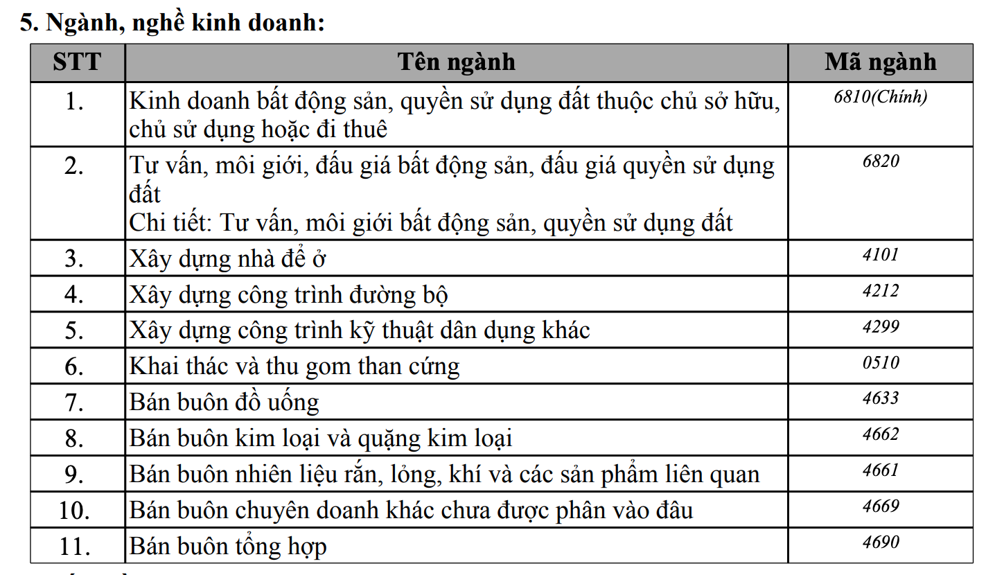 Chủ tịch Tập đoàn Hoành Sơn rót hàng ngàn tỷ cho loạt tân binh bất động sản- Ảnh 4.