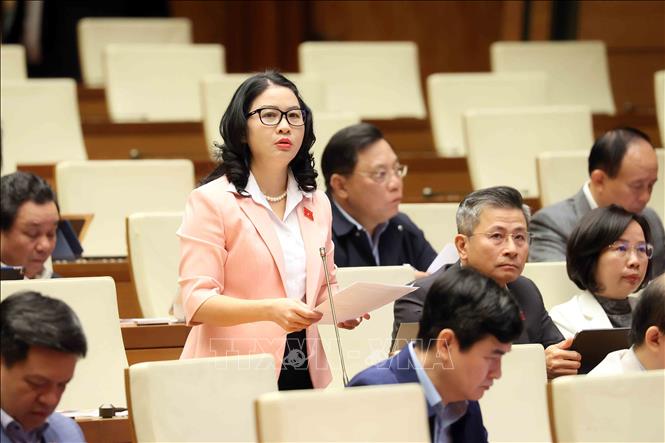 Khai thác và quản lý hiệu quả, có chính sách bảo vệ đất hiếm- Ảnh 2.