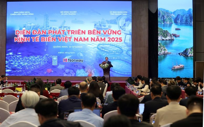 Tiếp tục hoàn thiện chính sách, cơ chế "kinh tế biển xanh"- Ảnh 3.