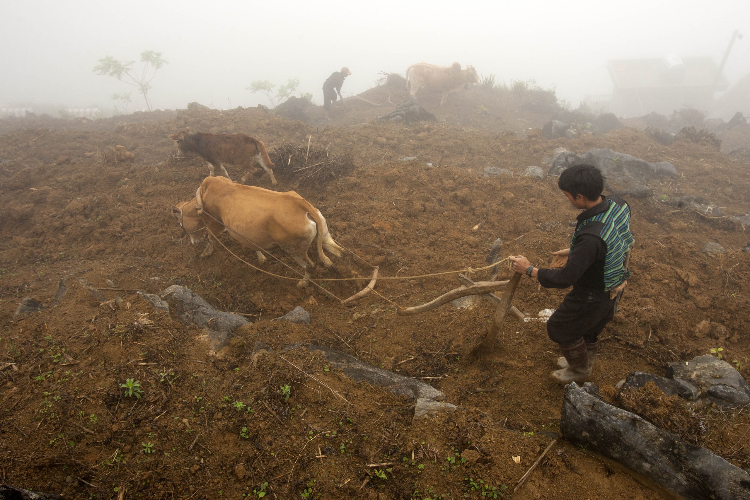 Photo Travel: Cao nguyên đá Đồng Văn tỏa sáng tại "Oscar du lịch thế giới"- Ảnh 5. Photo Travel: Cao nguyên đá Đồng Văn tỏa sáng tại "Oscar du lịch thế giới"- Ảnh 5.