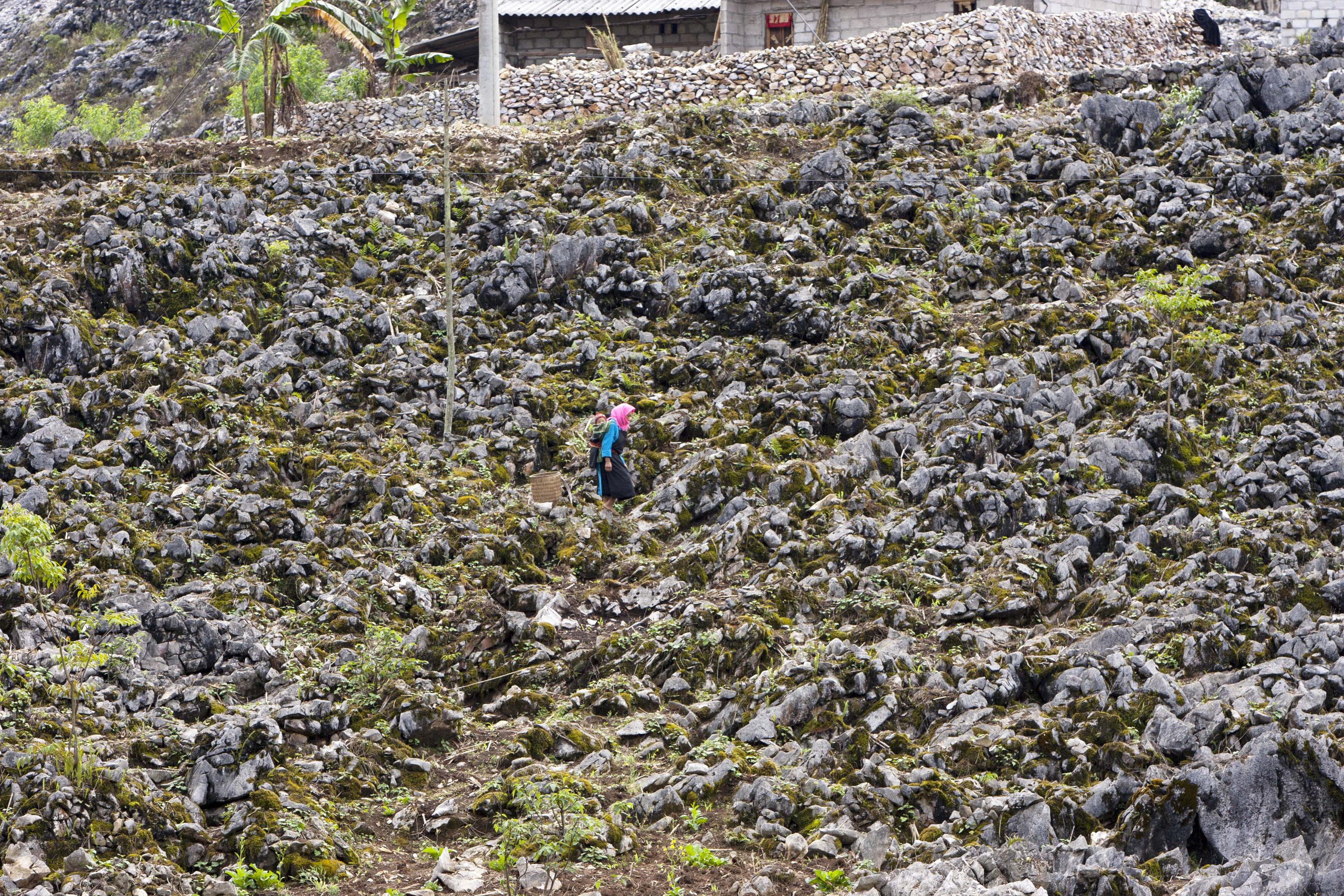 Photo Travel: Cao nguyên đá Đồng Văn tỏa sáng tại "Oscar du lịch thế giới"- Ảnh 6. Photo Travel: Cao nguyên đá Đồng Văn tỏa sáng tại "Oscar du lịch thế giới"- Ảnh 6.
