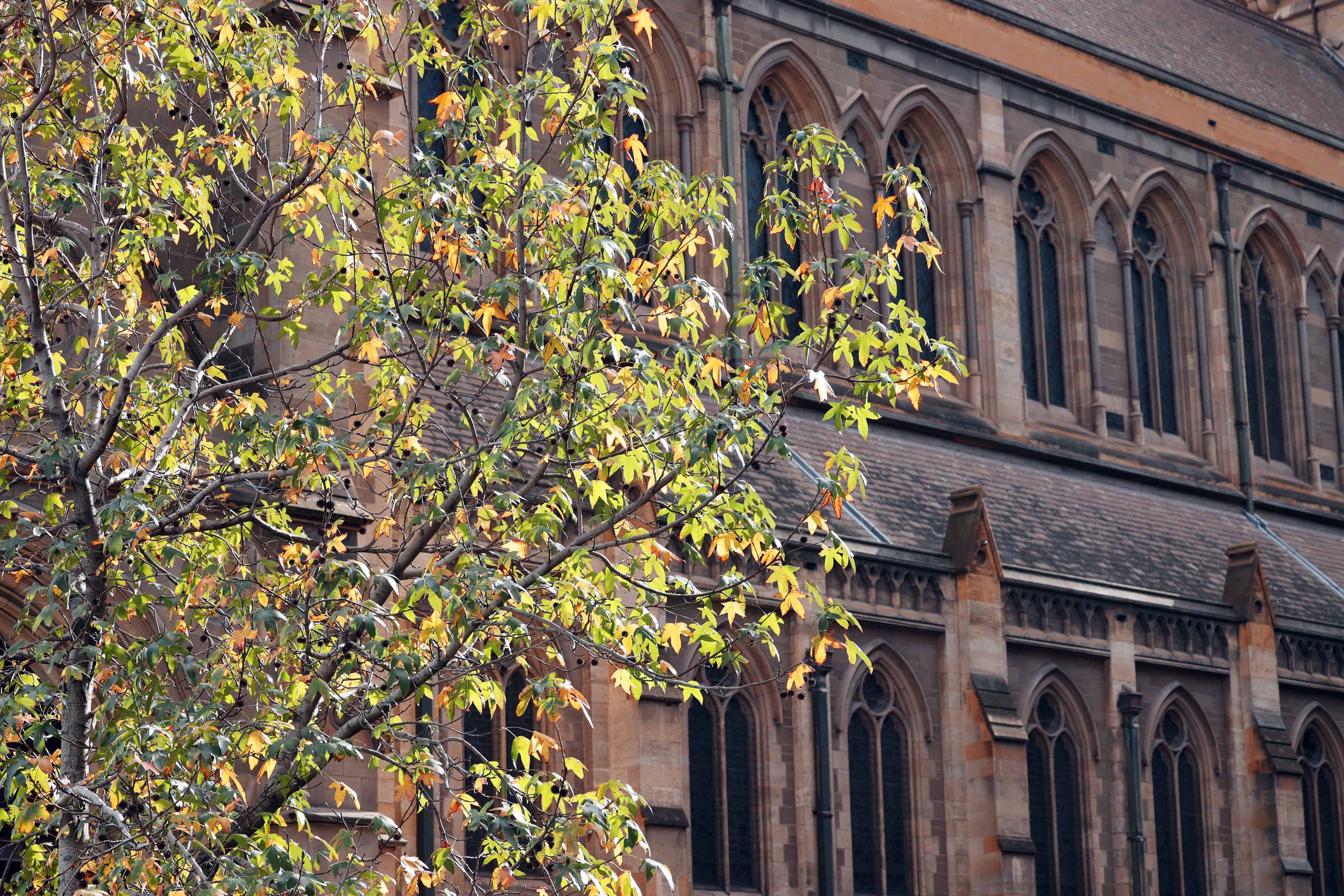 Photo Travel: St Paul's Cathedral - Thánh đường đẹp nhất Melbourne- Ảnh 12. Photo Travel: St Paul's Cathedral - Thánh đường đẹp nhất Melbourne- Ảnh 12.