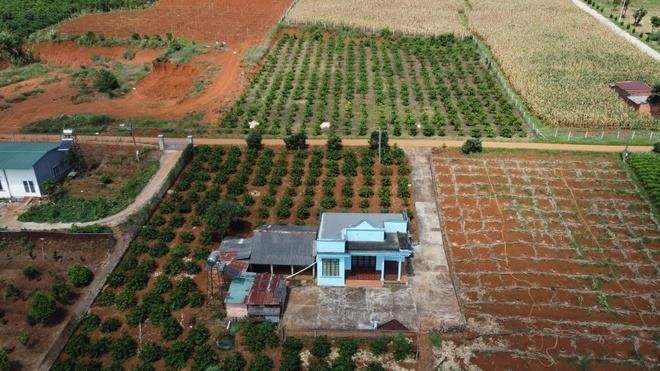 Từ ngày 1/1/2026, chi phí chuyển đổi đất nông nghiệp sang đất thổ cư sẽ tăng- Ảnh 1.