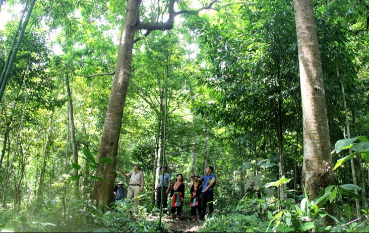 Quảng Ninh phát triển du lịch sinh thái thu hút du khách mùa du lịch thấp điểm- Ảnh 2.