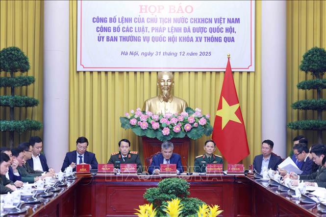 Công bố Lệnh của Chủ tịch nước về 14 luật và 1 pháp lệnh- Ảnh 1.