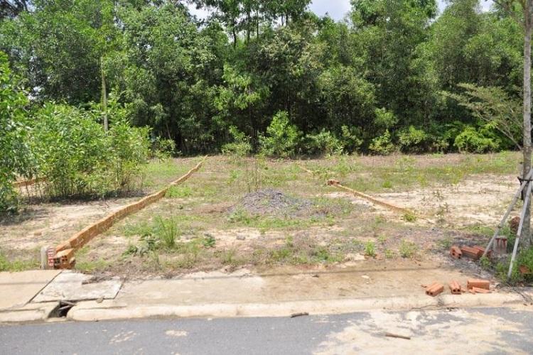 Nhận biết mảnh đất có phong thủy xấu và cách hóa giải- Ảnh 1. Nhận biết mảnh đất có phong thủy xấu và cách hóa giải- Ảnh 1.